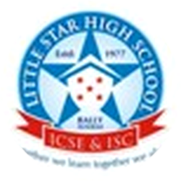Little Star High School logo